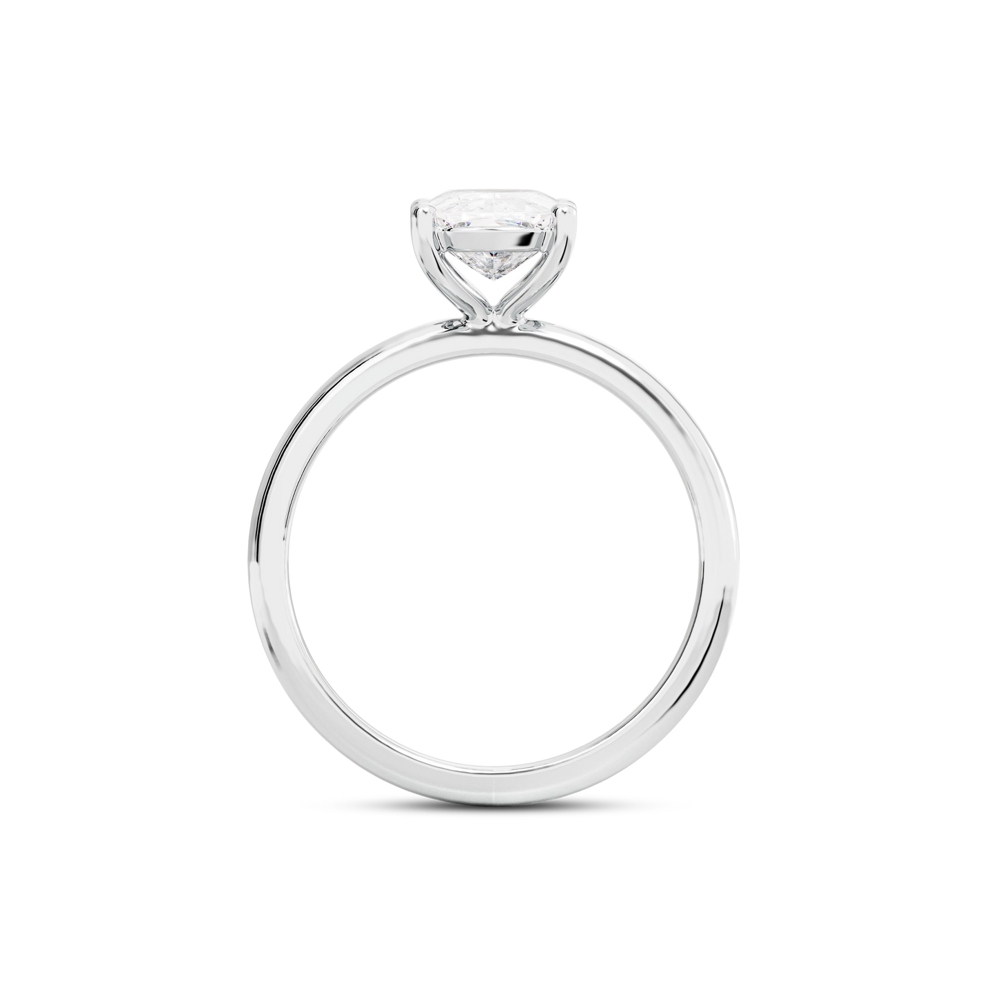 5.5 CT Eliza