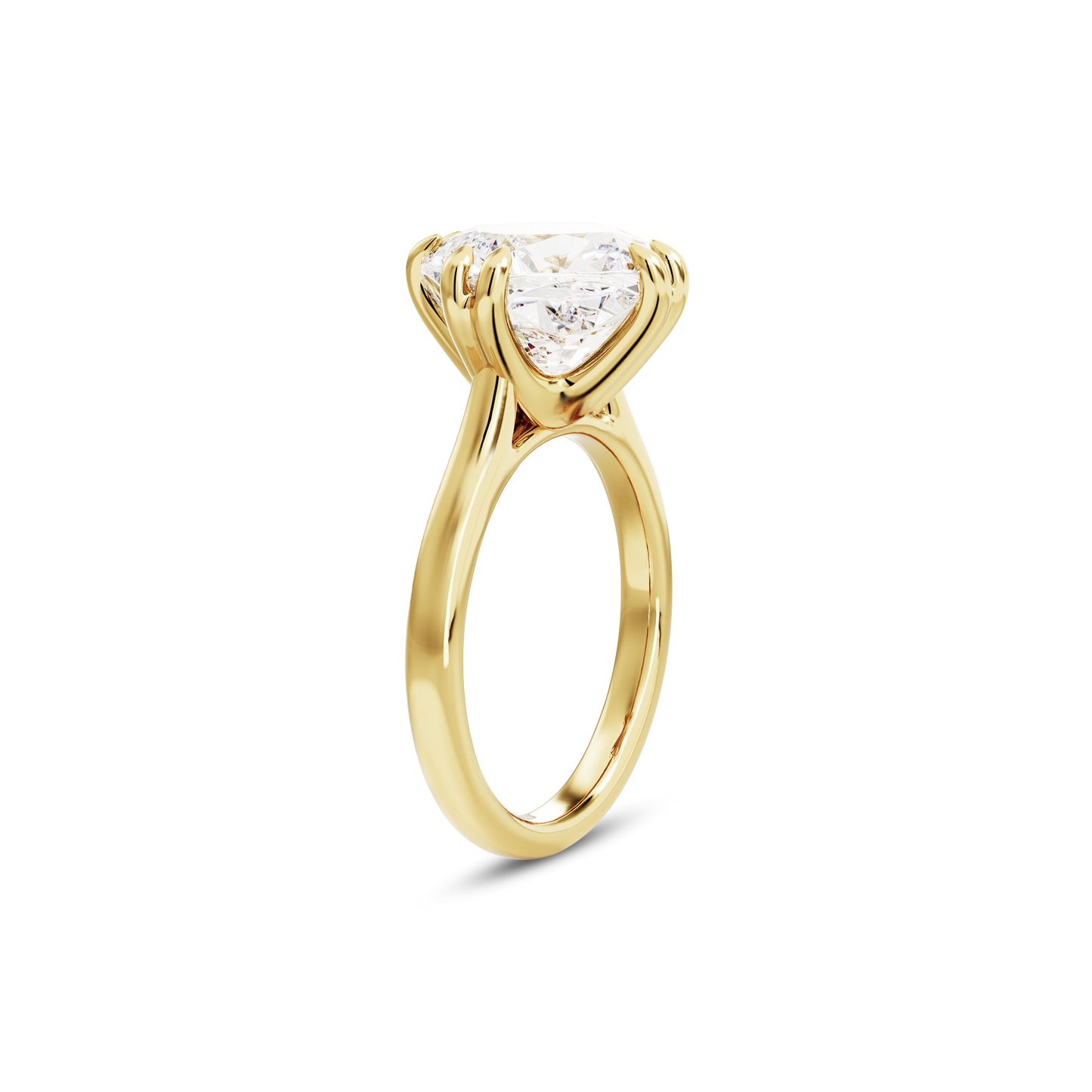 5 CT Vera