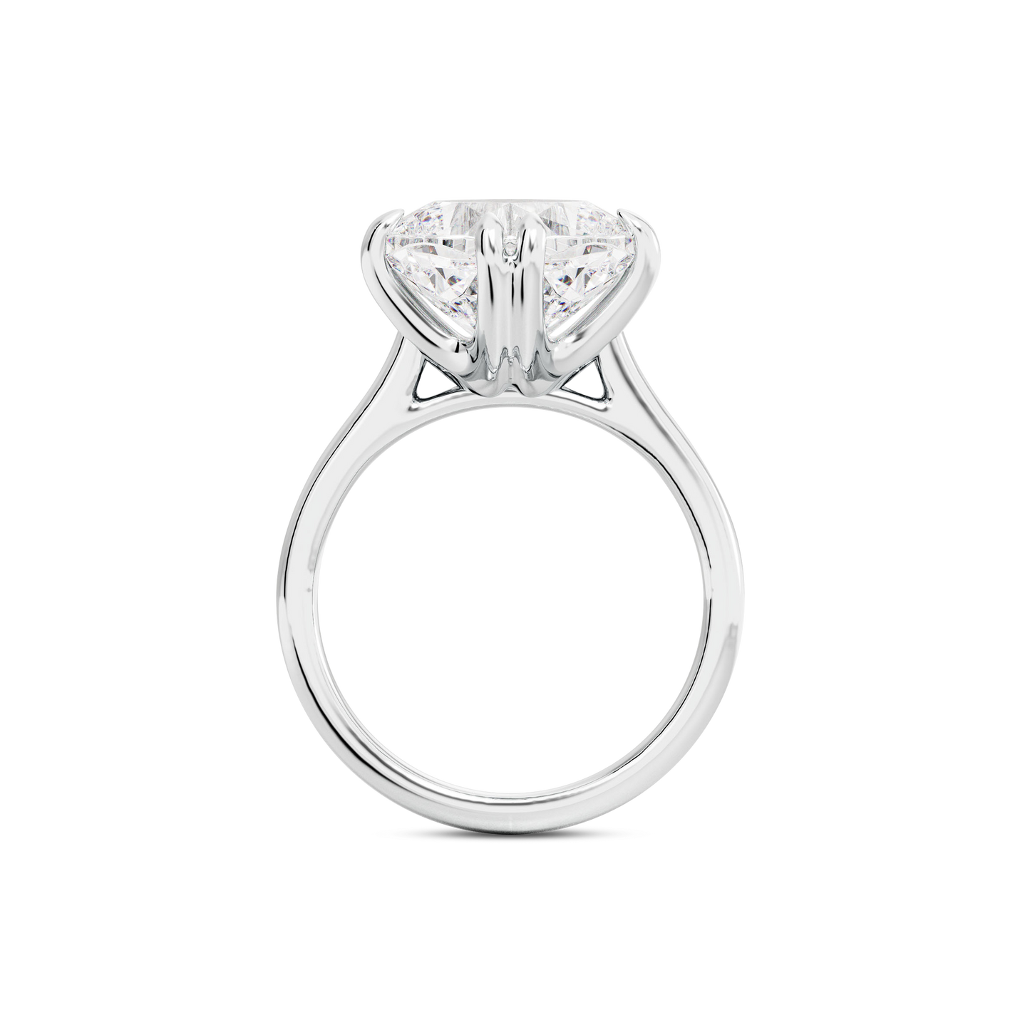 5 CT Vera