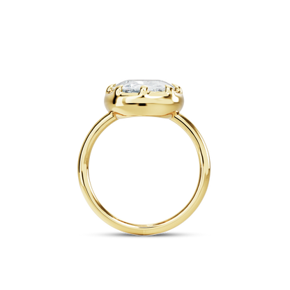 5 CT Clara