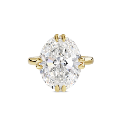 5 CT Vera