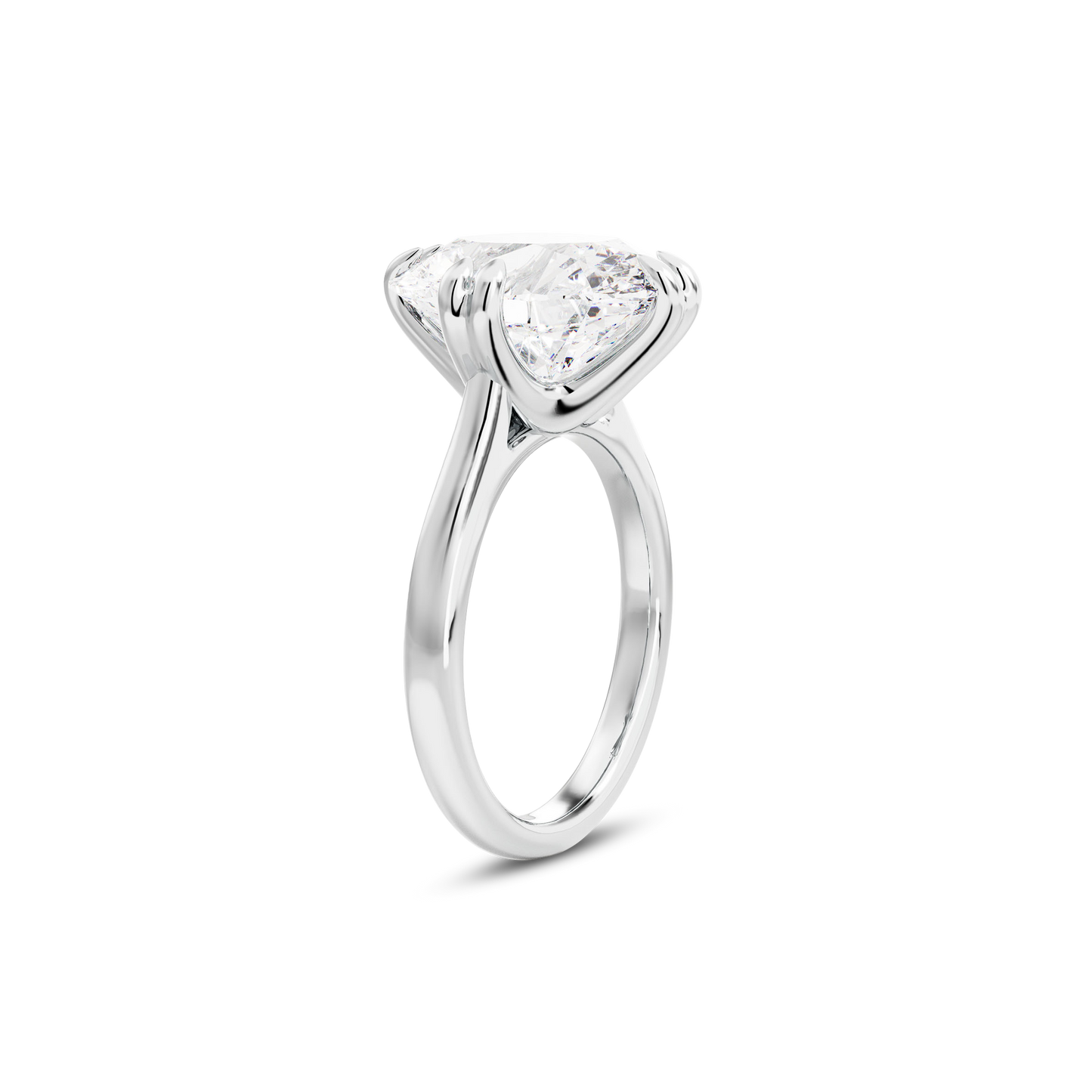 5 CT Vera