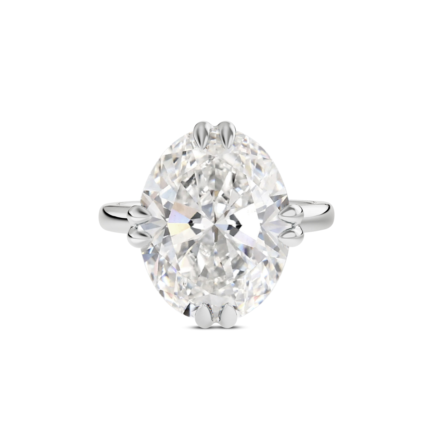 5 CT Vera