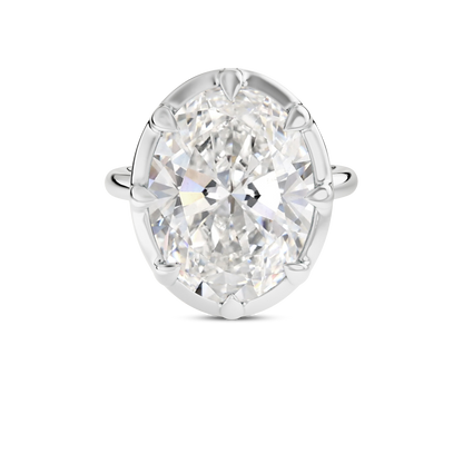 5 CT Clara