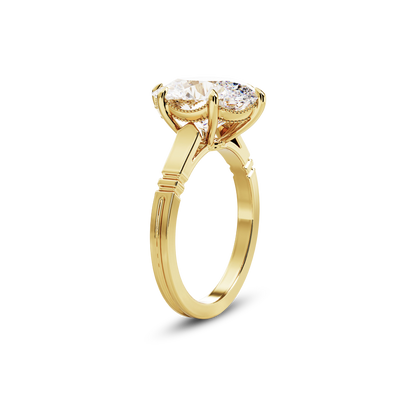 5 CT Iris