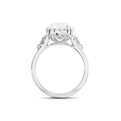 5 CT Sadie