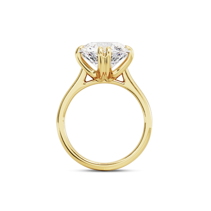 5 CT Vera