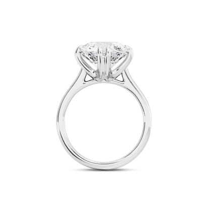 5 CT Vera