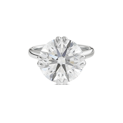5 CT Vera
