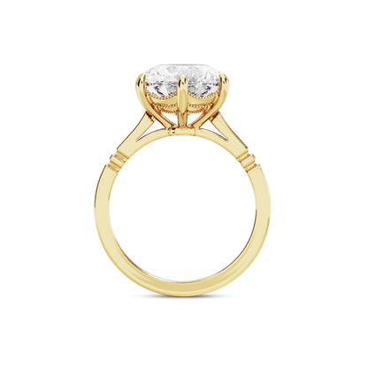 5 CT Iris