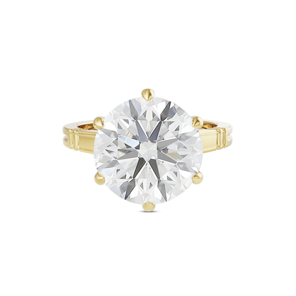 5 CT Iris