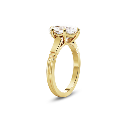 5 CT Iris
