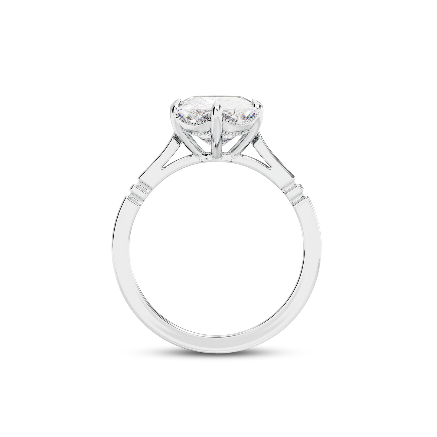 5 CT Iris