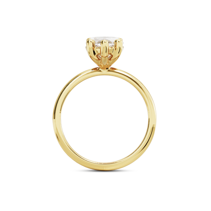5 CT Eliza