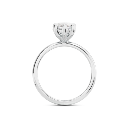 5 CT Eliza