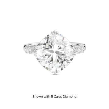 4.5 CT Celeste