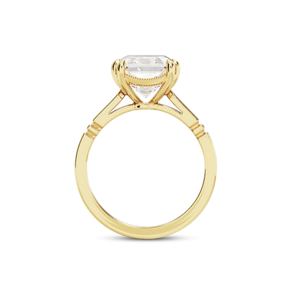 6 CT Iris
