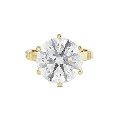 6 CT Iris