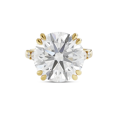6 CT Sadie