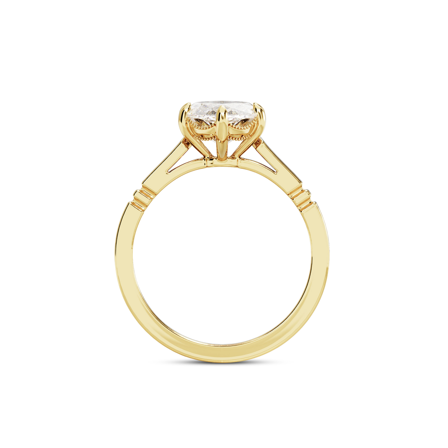 6 CT Iris
