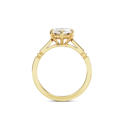 6 CT Iris