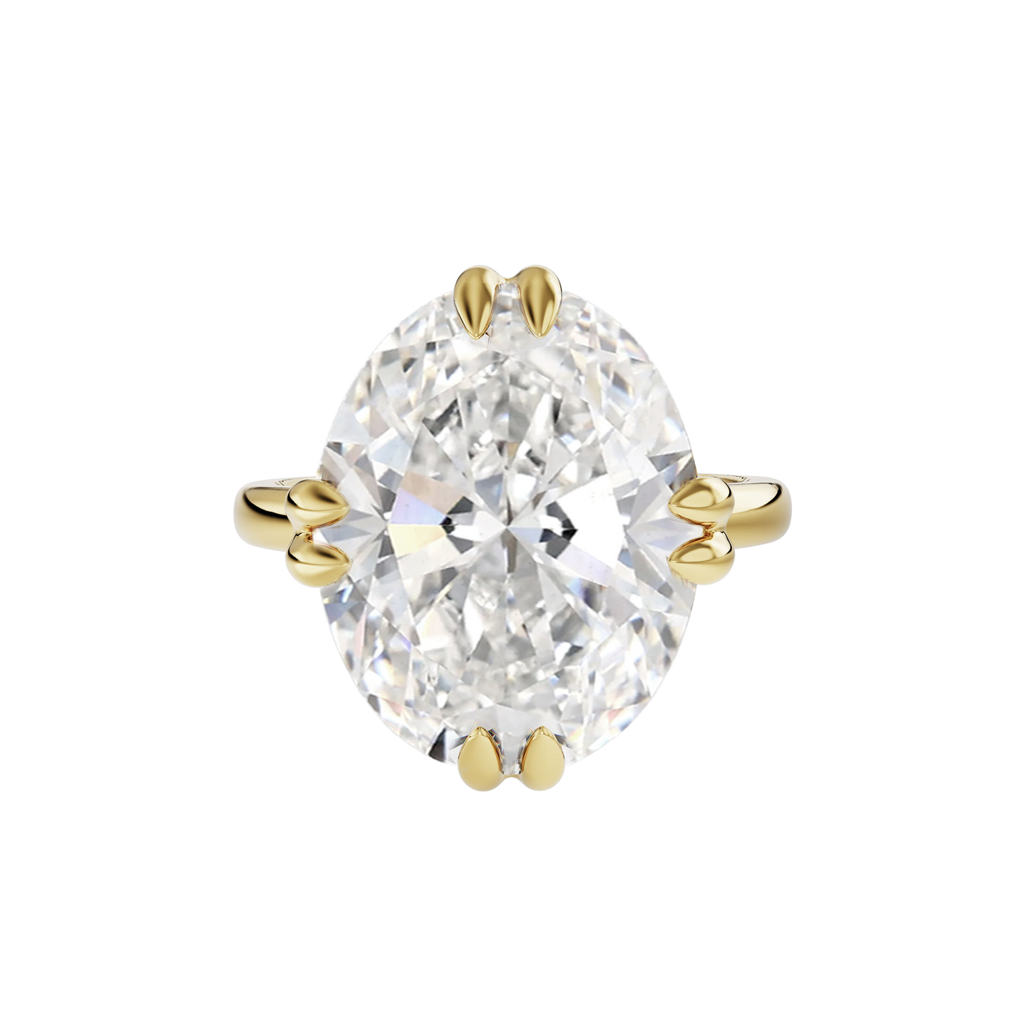 6 CT Vera