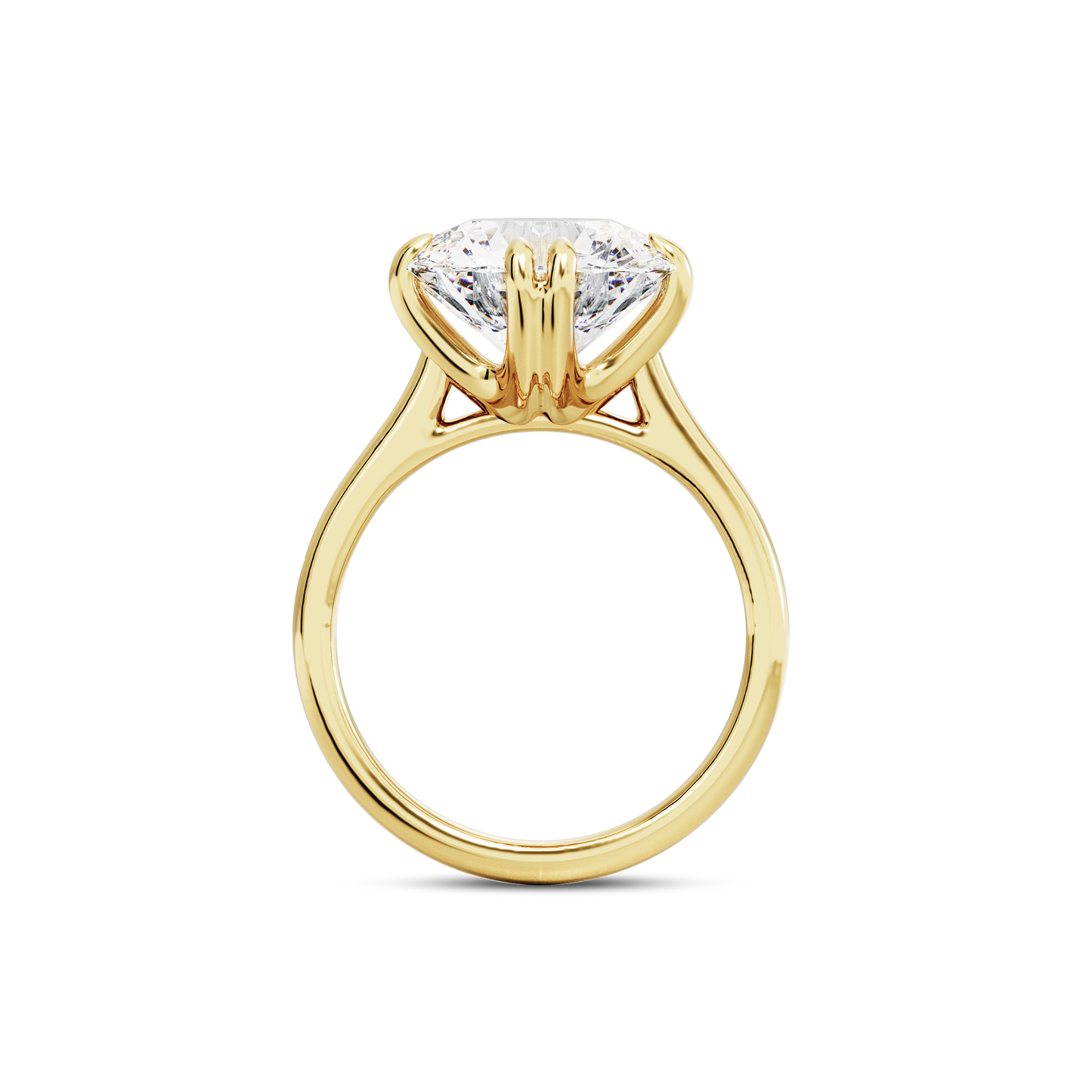 6 CT Vera