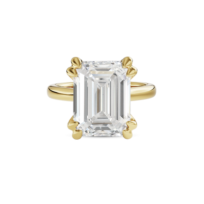 6 CT Vera