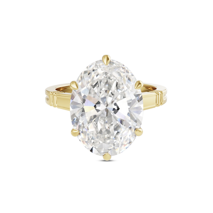 6 CT Iris