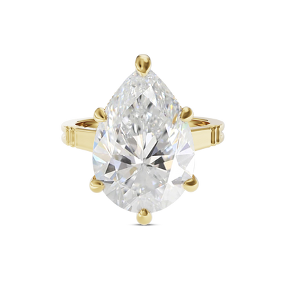 6 CT Iris