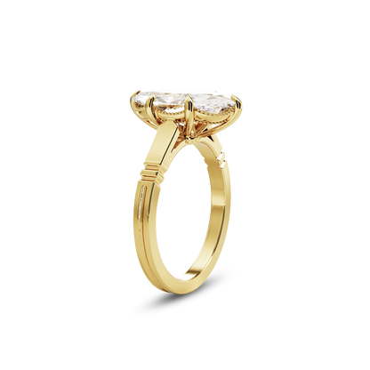 6 CT Iris