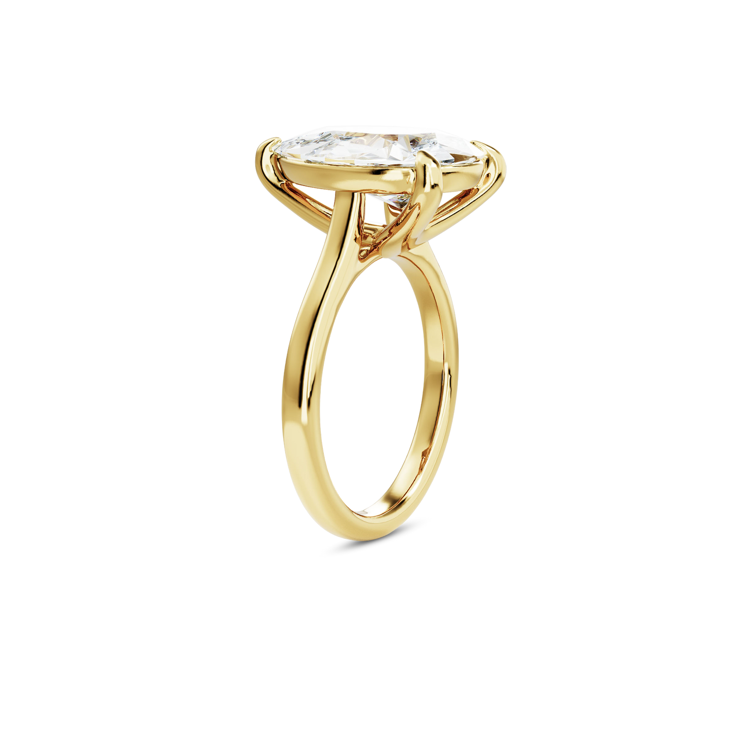 6 CT Vera