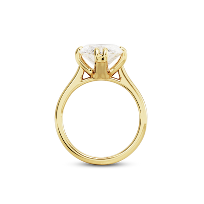 6 CT Vera