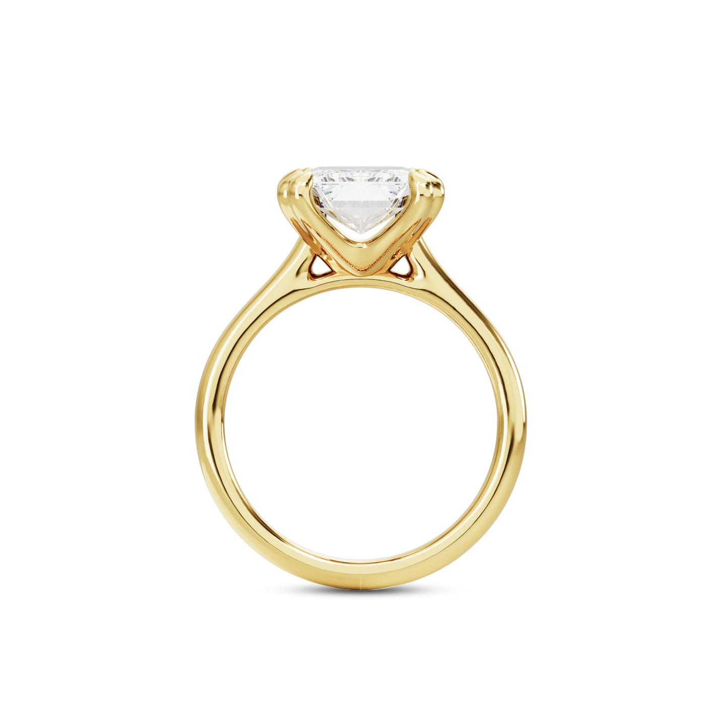 6 CT Vera