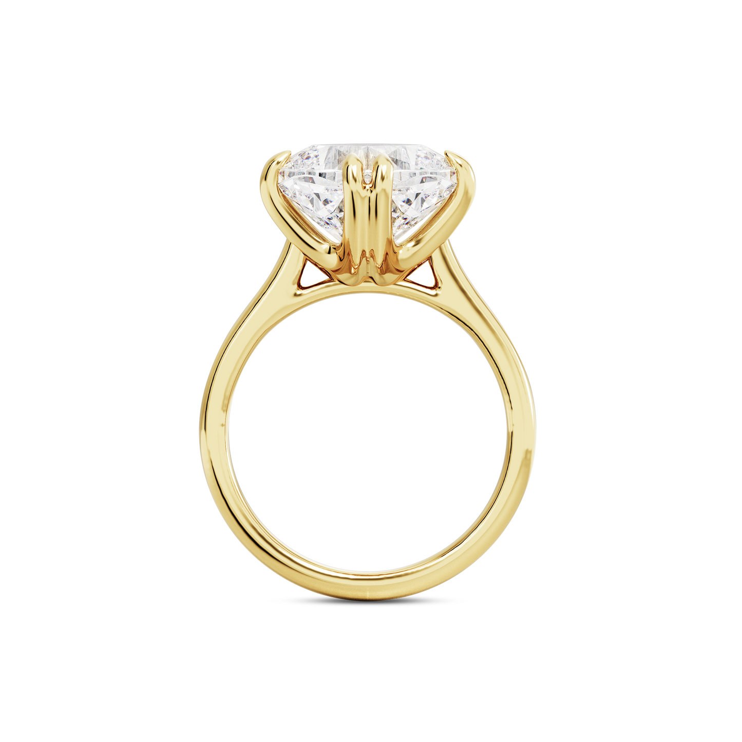 6 CT Vera