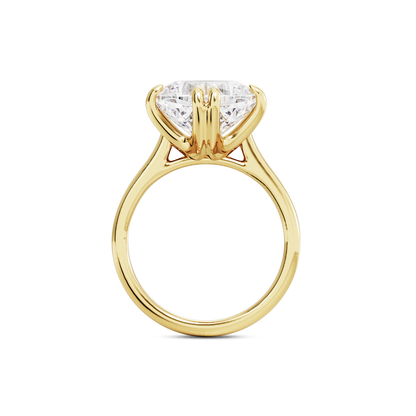6 CT Vera