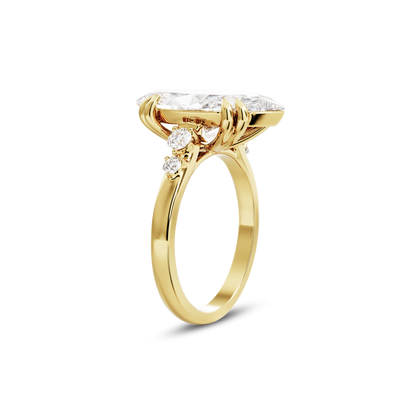 6 CT Sadie