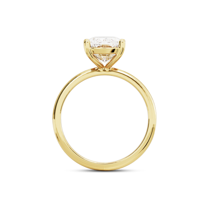 6 CT Eliza