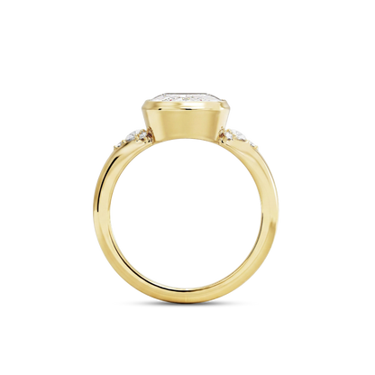 6 CT Cora
