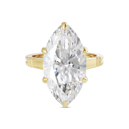 6 CT Iris