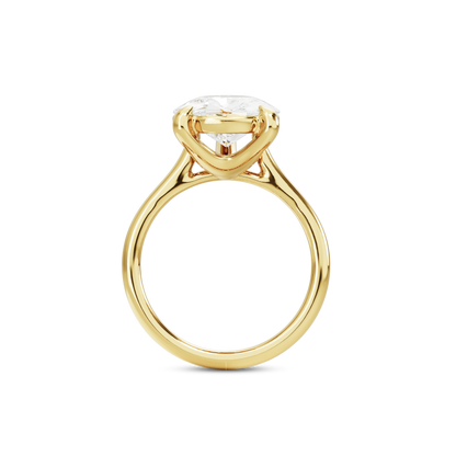 6 CT Vera