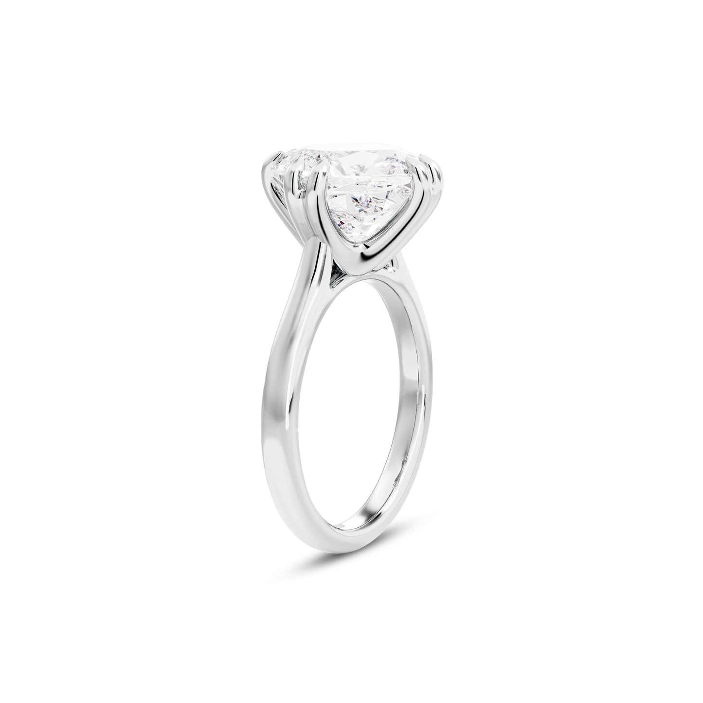 6 CT Vera