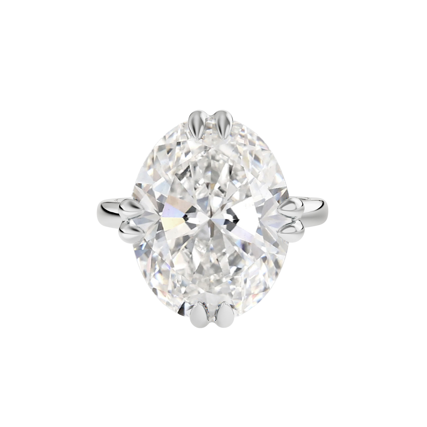 6 CT Vera