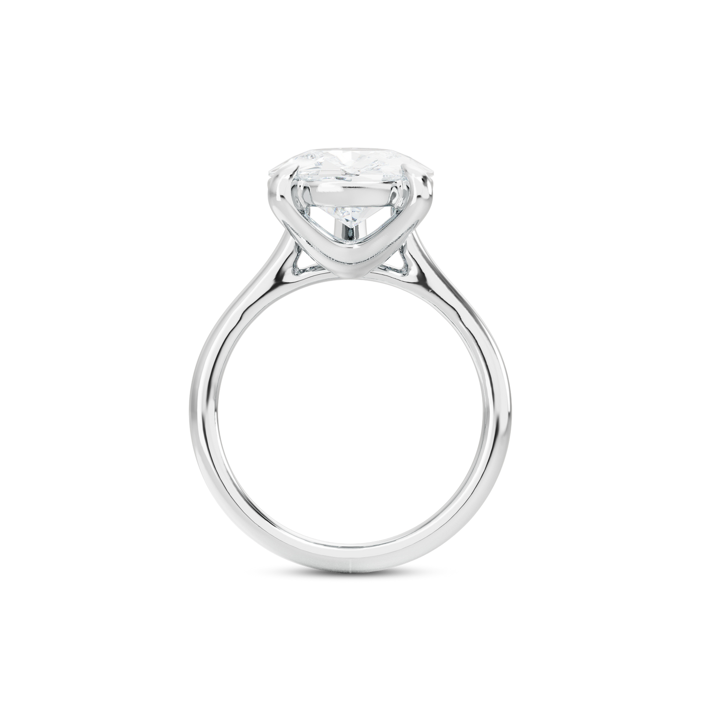 6 CT Vera
