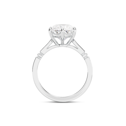 6 CT Iris
