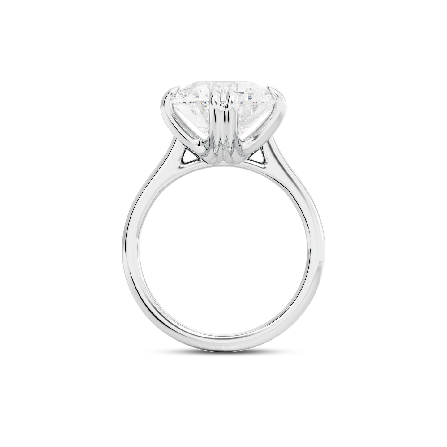 6 CT Vera