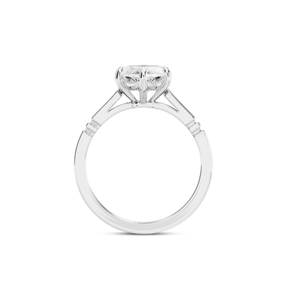 6 CT Iris
