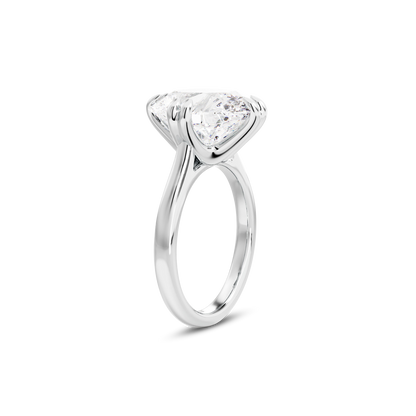 6 CT Vera