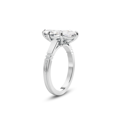 6 CT Iris