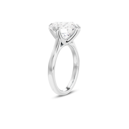 6 CT Vera